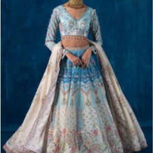 Elegant Blue and Cream Embroidered Lehenga